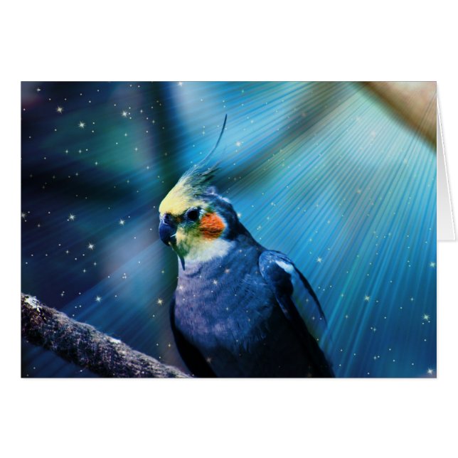 Cockatiel (Front Horizontal)