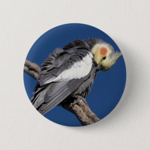 Cockatiel 2 Inch Round Button