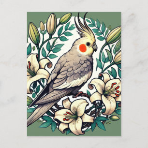 Cockatiel Bird Illustration Postcard