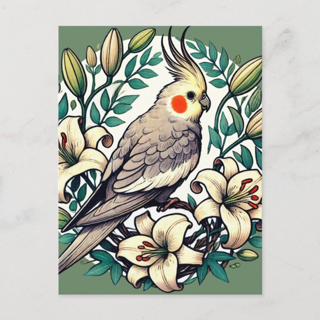 Cockatiel Bird Illustration                        Postcard (Front)