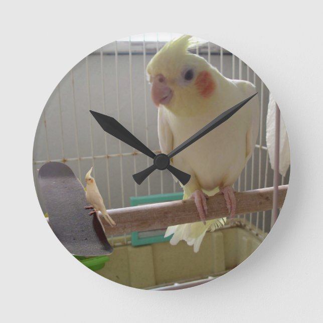 Cockatiel Fun Round Clock (Front)