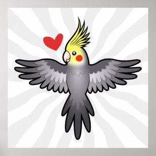 Cockatiel Love Poster