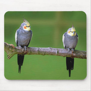 Cockatiel Mouse Pad