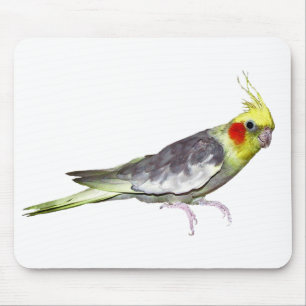 Cockatiel Mousemat (choose colour) Mouse Pad