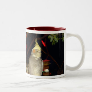 Cockatiel Mug - Customized