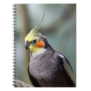 Cockatiel Notebook