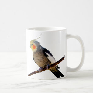 Cockatiel , Nymphicus hcus Coffee Mug