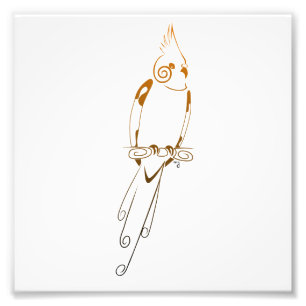 Cockatiel Photo Print
