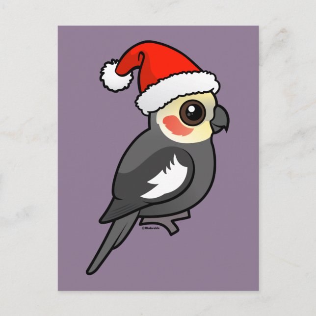 Cockatiel Santa Holiday Postcard (Front)