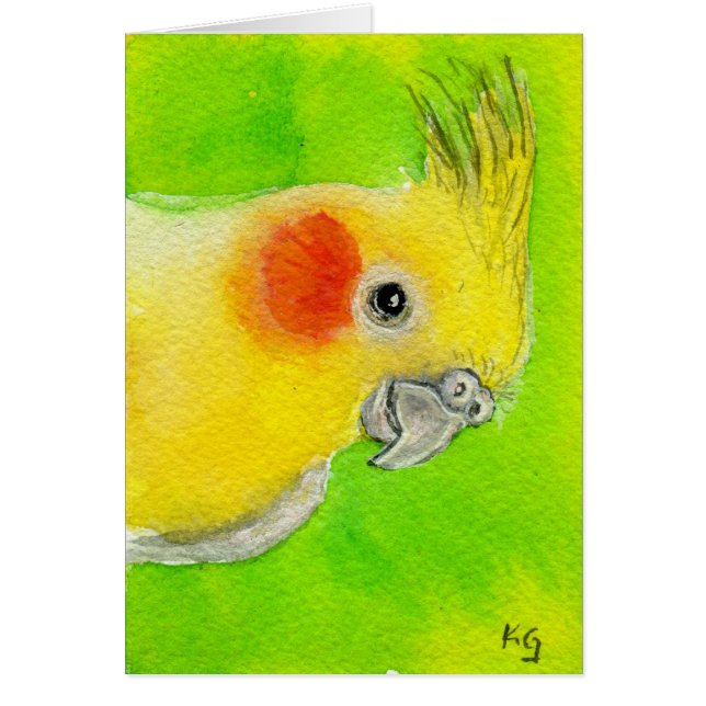 Cockatiel semi-transparent (Devant)