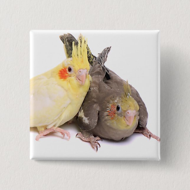 Cockatiels 2 Inch Square Button (Front)