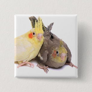 Cockatiels 2 Inch Square Button