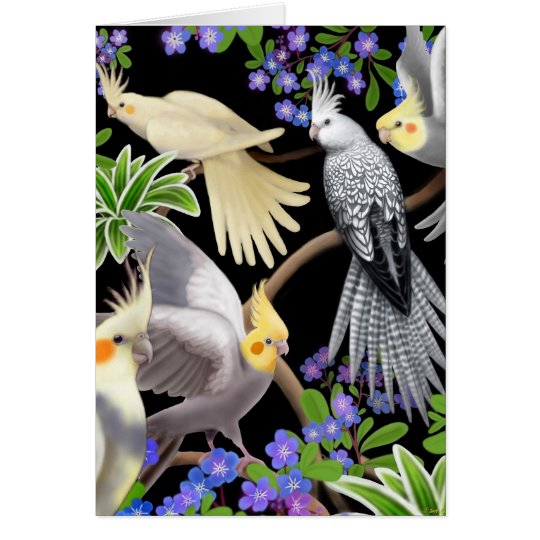 Cockatiels and Flowers Card