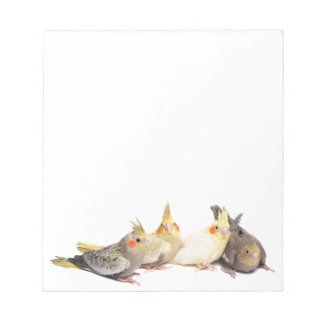 Cockatiels Notepad