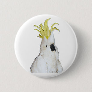 Cockatoo 2 Inch Round Button