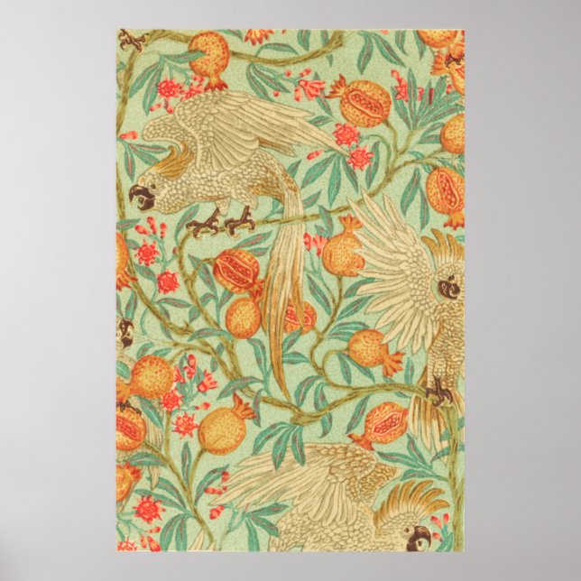 Cockatoo and Pomegranate Antique Print (Front)