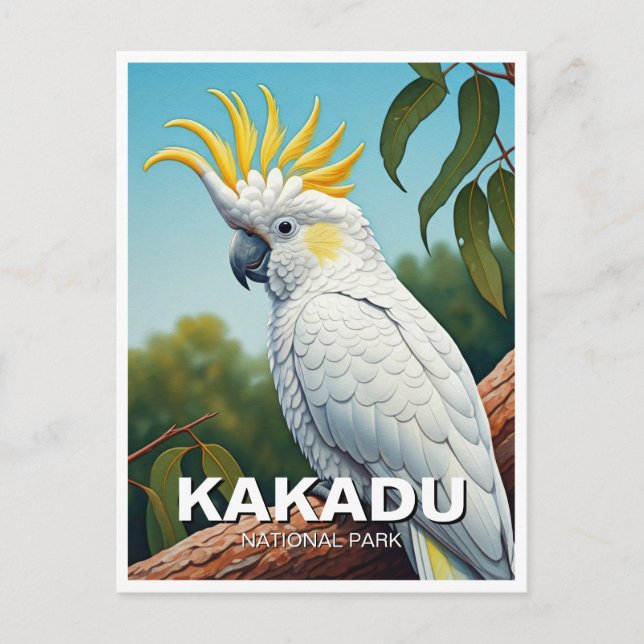 Cockatoo at Kakadu National Park Australia Postcard (Front)