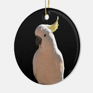 Cockatoo at Sundial Apartments Ceramic Decoration