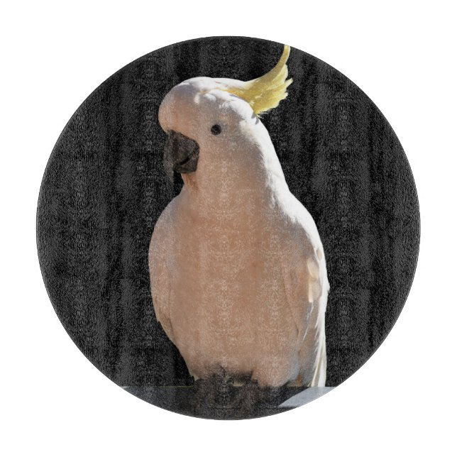 Cockatoo at Sundial Apartments Chopping Board (Front)