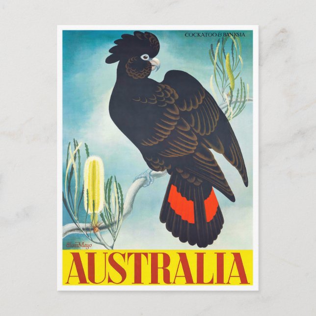 Cockatoo Australia vintage travel Postcard (Front)