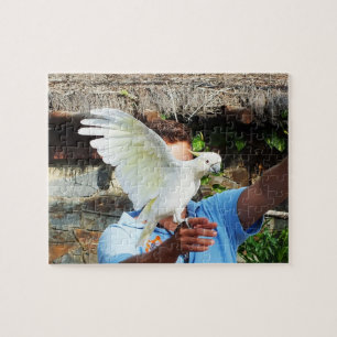 Cockatoo displaying a wing jigsaw puzzle