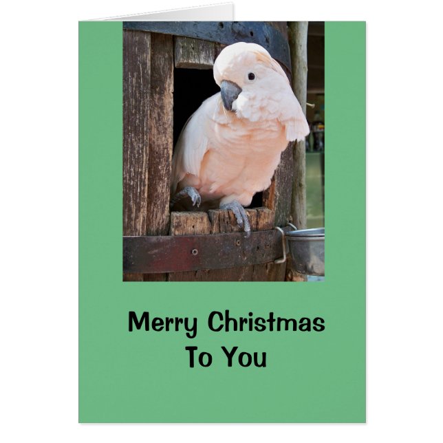 Cockatoo Home Holiday Card, envelopes included (Front)