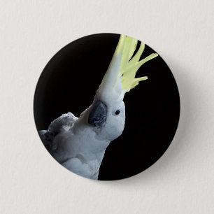Cockatoo Parrot 2 Inch Round Button