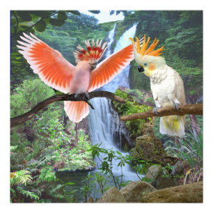 COCKATOO PARROTS IN  PARADISE PHOTO PRINT
