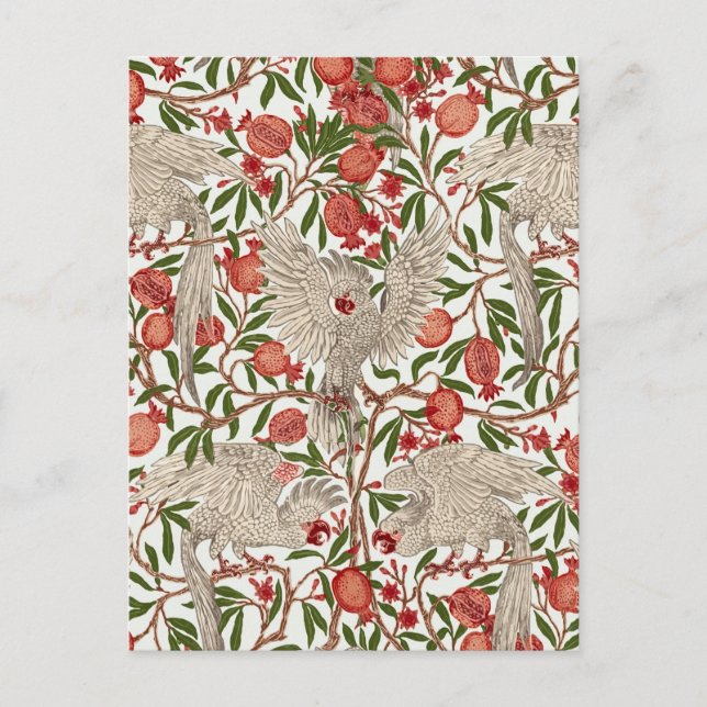 Cockatoo & Pomegranate by Walter Crane Art Nouveau Postcard (Front)