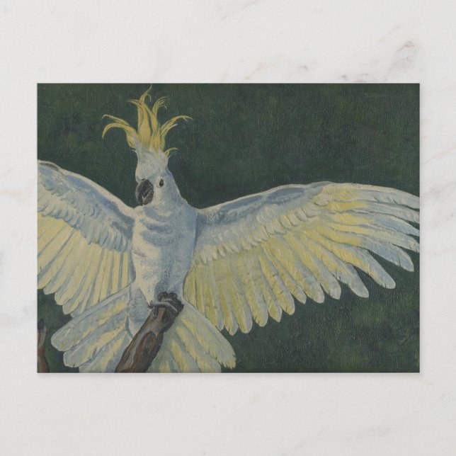 cockatoo postcard (Front)