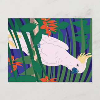 Cockatoo Postcard