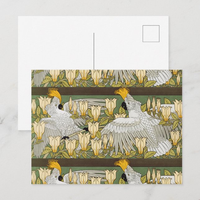 Cockatoos and Magnolia,Birds & Flowers Art Nouveau Postcard (Front/Back)