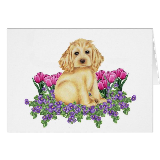 Cocker (Devant horizontal)