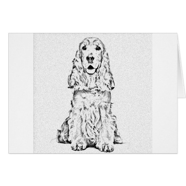 Cocker (Devant horizontal)