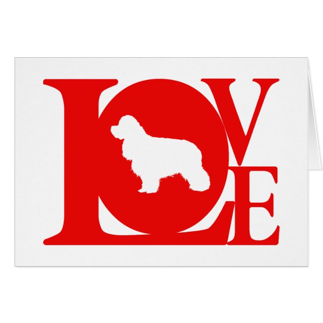 Cocker américain (Devant horizontal)