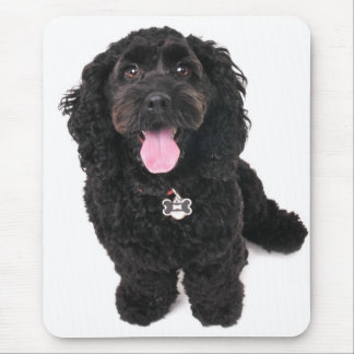cocker poodle mix puppy  looking up mouse pad