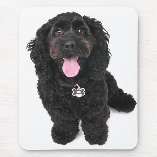 Cocker Poodle Mix Puppy Looking Up Mouse Pad Zazzle Ca