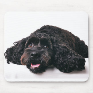 cocker poodle mix puppy  mousepad