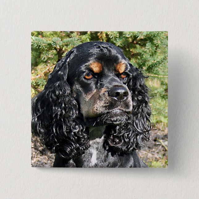 Cocker Spaniel 2 Inch Square Button (Front)