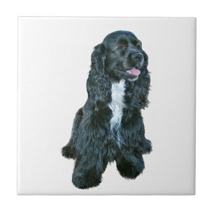 Cocker Spaniel - Black #2 Tile