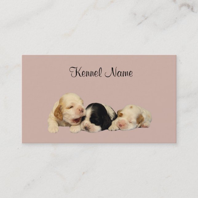 Cocker Spaniel Breeder Business Card (Front)