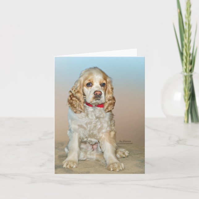 Cocker Spaniel Card (Front)