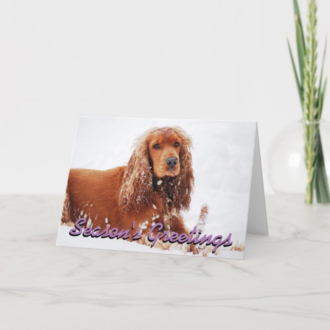 Cocker Spaniel Christmas card (Front)