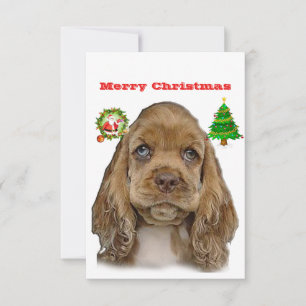 Cocker spaniel Christmas Cards