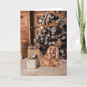 Cocker Spaniel Christmas Holiday Card