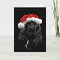 Cocker Spaniel Christmas