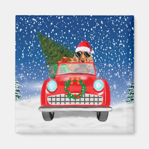 Cocker Spaniel Dog Driving Car In Snow Christmas Magnet