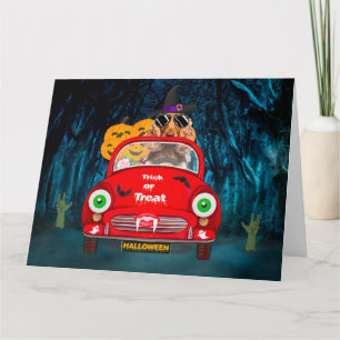 Cocker Spaniel Dog Driving Car Scary Halloween  Card