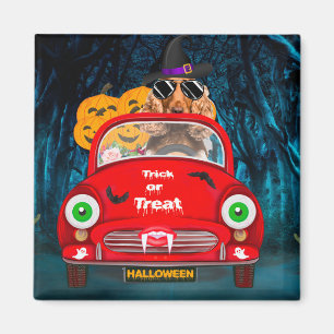 Cocker Spaniel Dog Driving Car Scary Halloween  Magnet