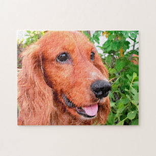 Cocker Spaniel Dog Jigsaw Puzzle